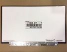 Toshiba portege r30-a-145 13.3 inch ノートパソコンスクリーン