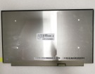 Asus rog zephyrus s gx531gx 15.6 inch 笔记本电脑屏幕