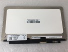 Dell chromebook 11 3120 11.6 inch 筆記本電腦屏幕