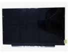 Auo g116han01.0 11.6 inch laptop schermo