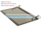 Dell ppc14 17.3 inch laptop screens