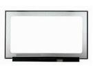 Boe ne173fhm-nz6 17.3 inch laptop screens