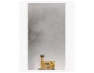 Boe bp070wx1-300 7 inch laptop telas