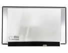 Hp probook 450 g10 15.6 inch ordinateur portable Écrans
