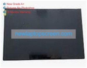 Auo g101ean02.1 10.1 inch laptop schermo