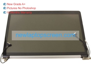 Dell ppc14 17.3 inch laptop screens