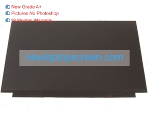Dell alienware m15 15.6 inch laptop schermo
