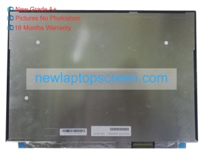 Sharp lq123p1jx32 12.3 inch laptop schermo