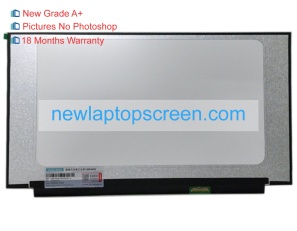 Lenovo 156fan22 15.6 inch laptop schermo